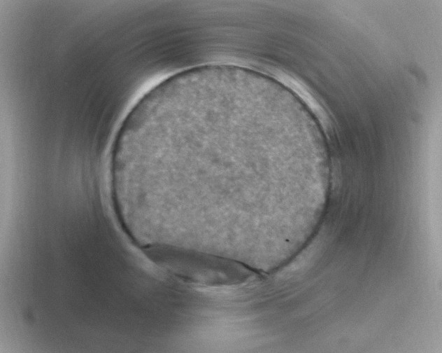 X0000116591048201001071230