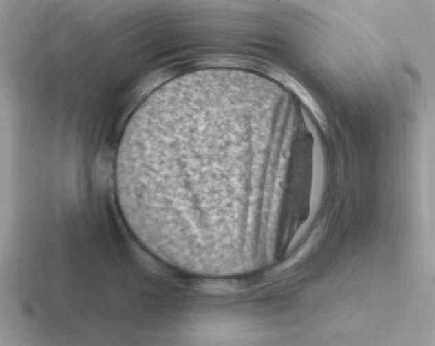 X0000116591049201001071230