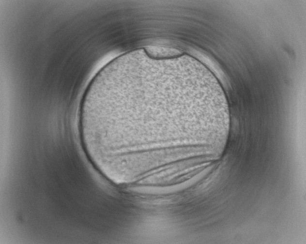 X0000116591050201001071230