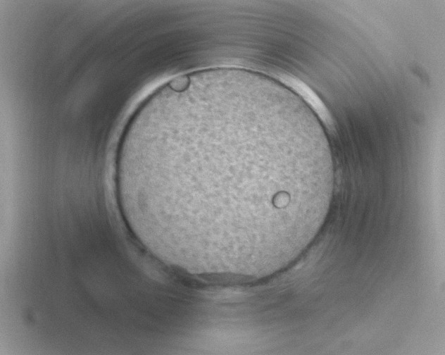 X0000116591051201001071230