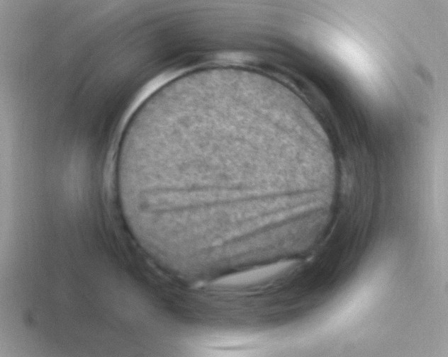 X0000116591052201001071230