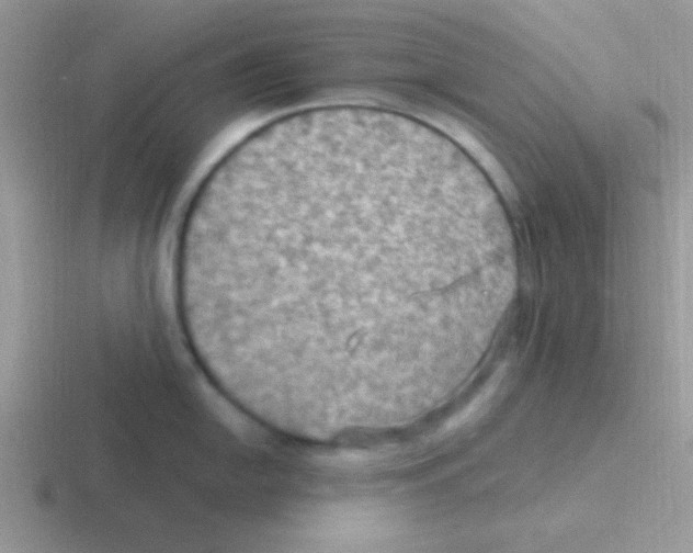 X0000116591054201001071230