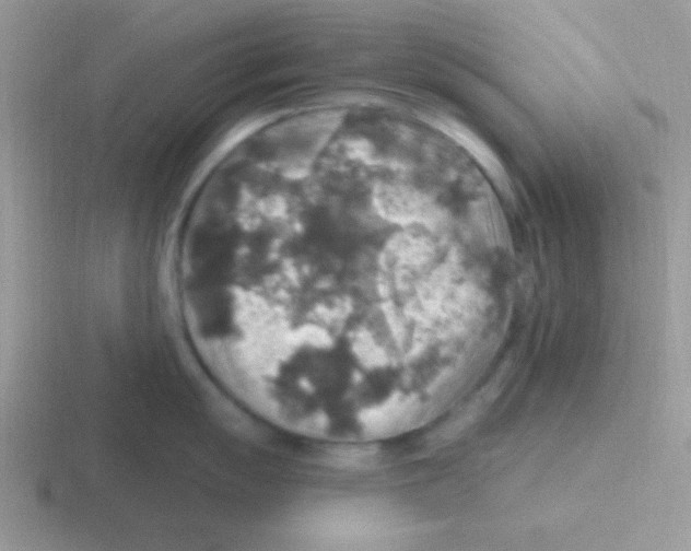 X0000116591055201001071230