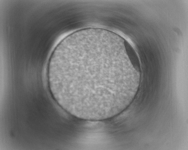 X0000116591056201001071230