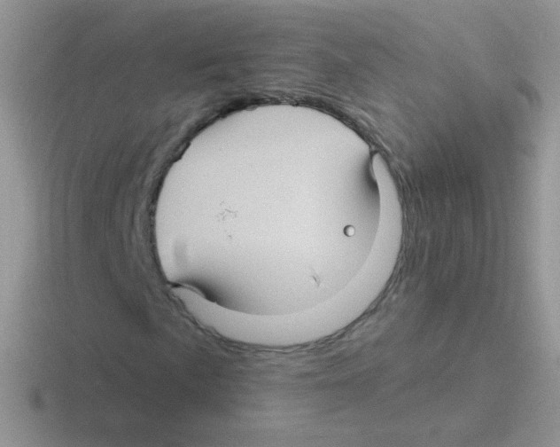 X0000116591057201001071229