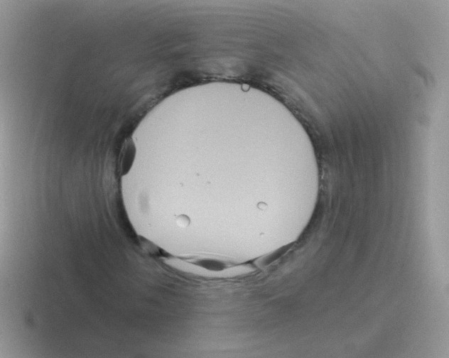 X0000116591058201001071229