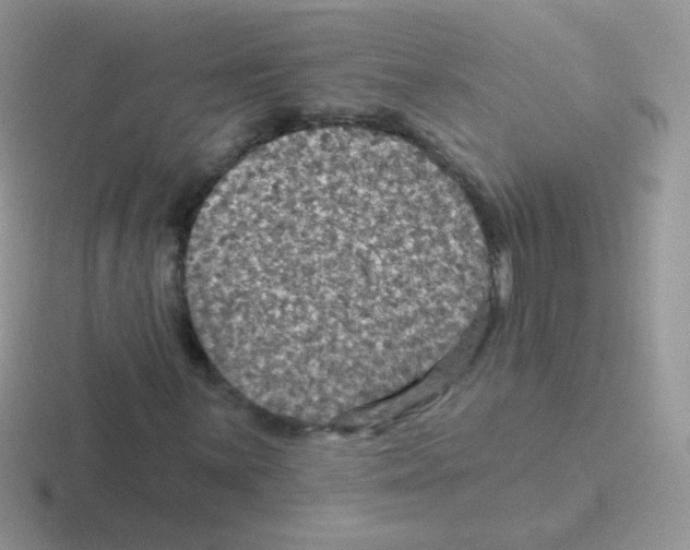 X0000116591059201001071229