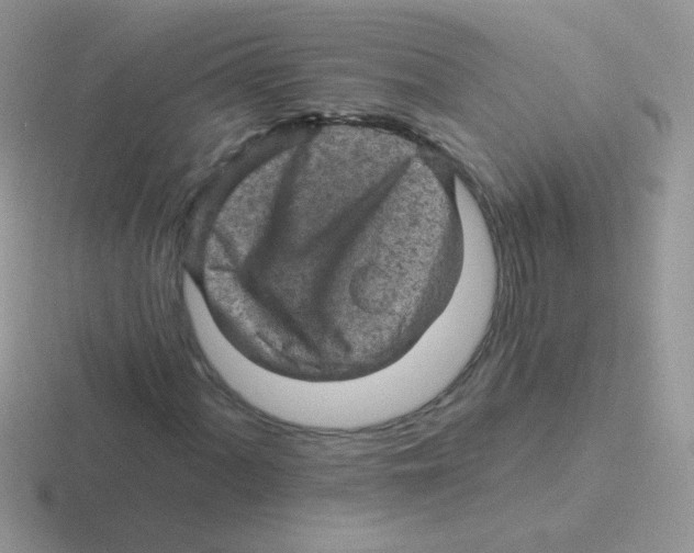 X0000116591060201001071229