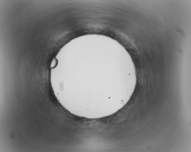 X0000116591061201001071229