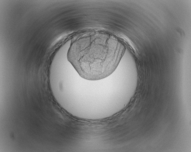 X0000116591064201001071229