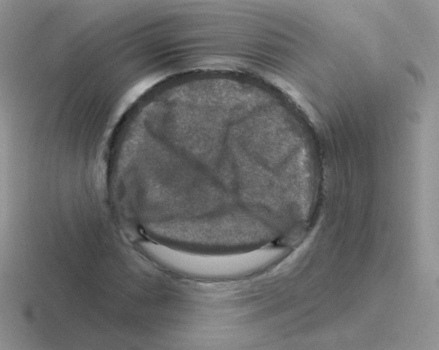 X0000116591066201001071229