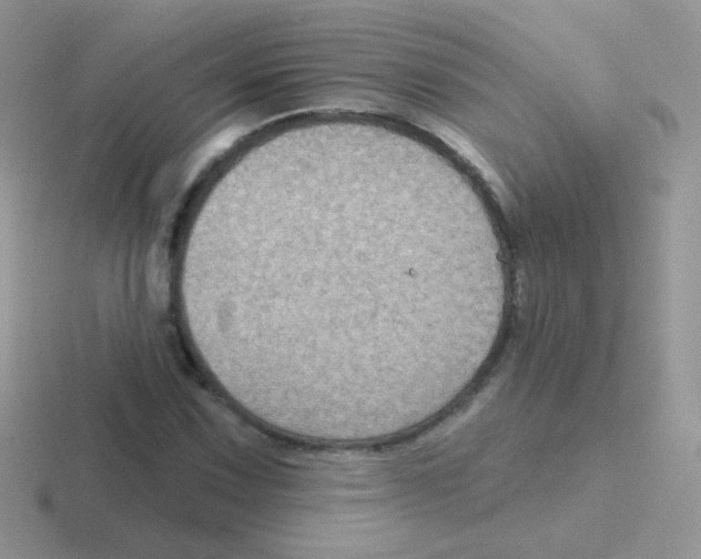 X0000116591067201001071229