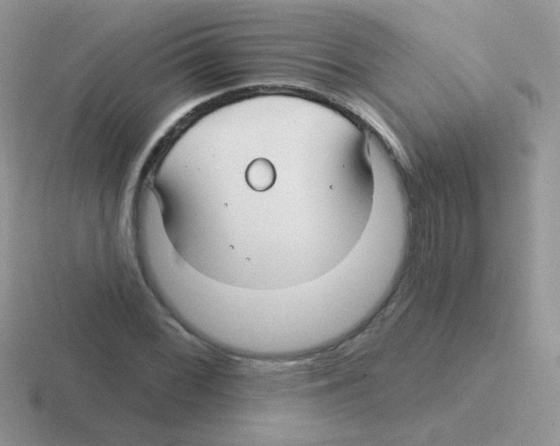 X0000116591068201001071229