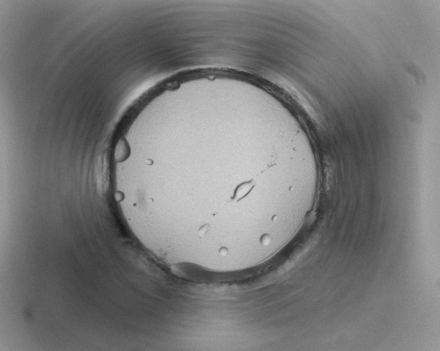 X0000116591069201001071229