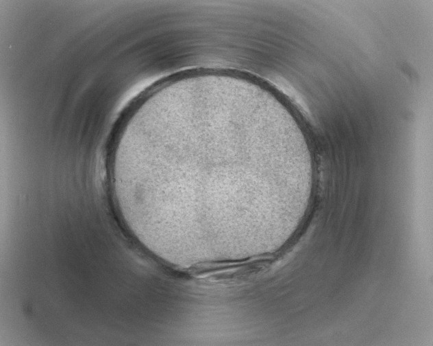 X0000116591070201001071229