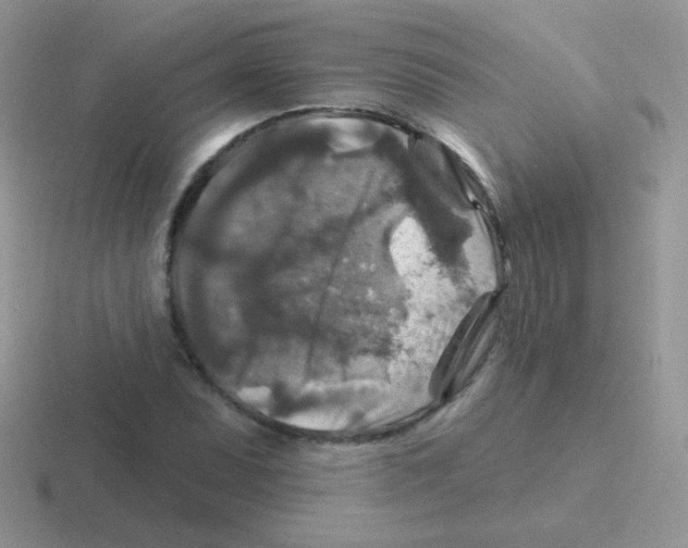 X0000116591071201001071229