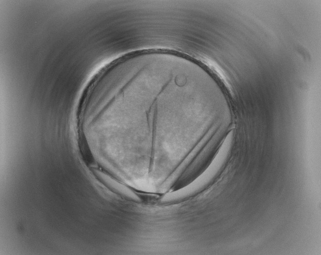 X0000116591072201001071229