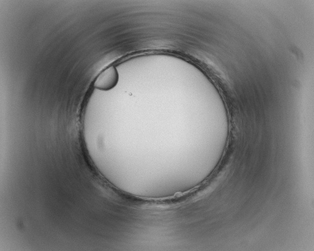 X0000116591073201001071229