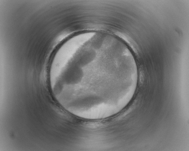 X0000116591074201001071229