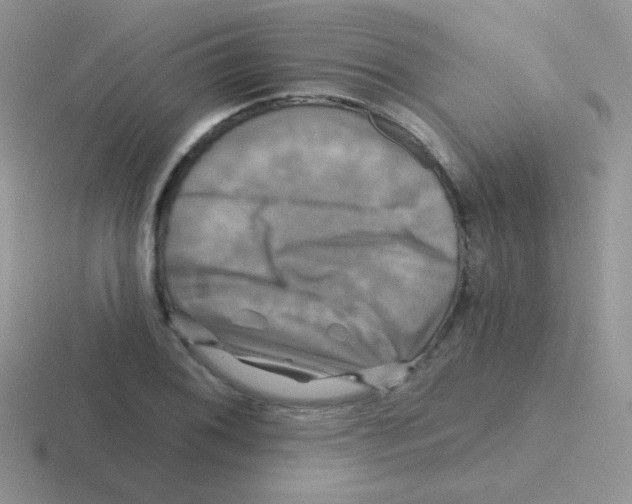 X0000116591076201001071229