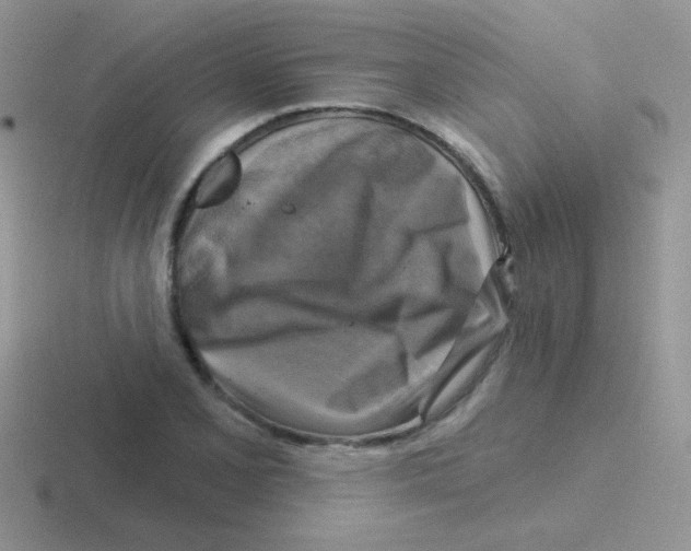 X0000116591077201001071229