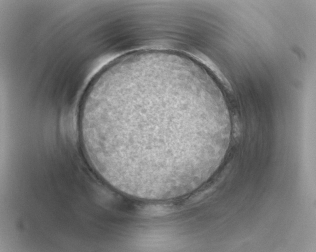 X0000116591078201001071229