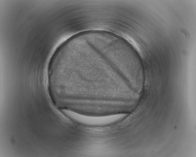 X0000116591080201001071229