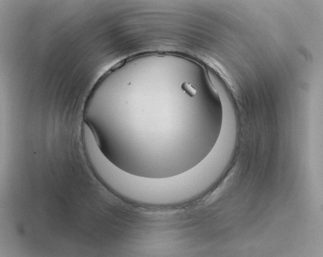 X0000116591081201001071229