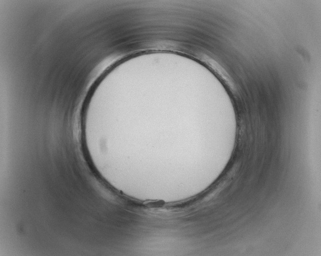 X0000116591082201001071229