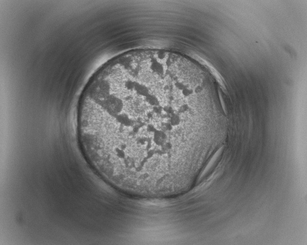 X0000116591083201001071229