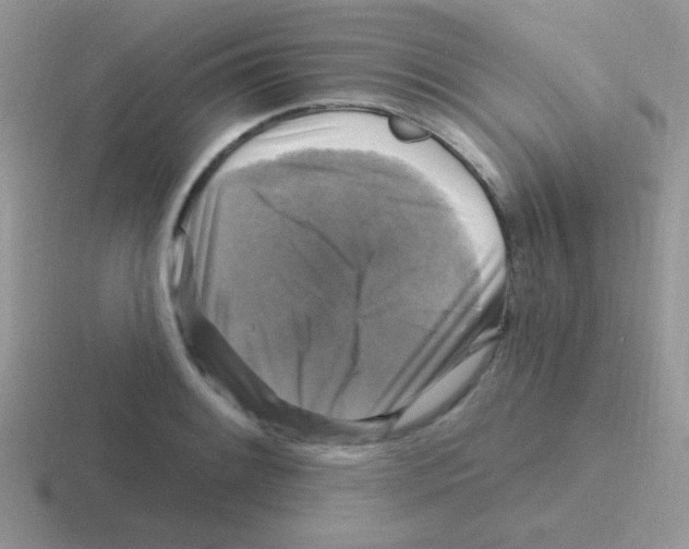 X0000116591084201001071229