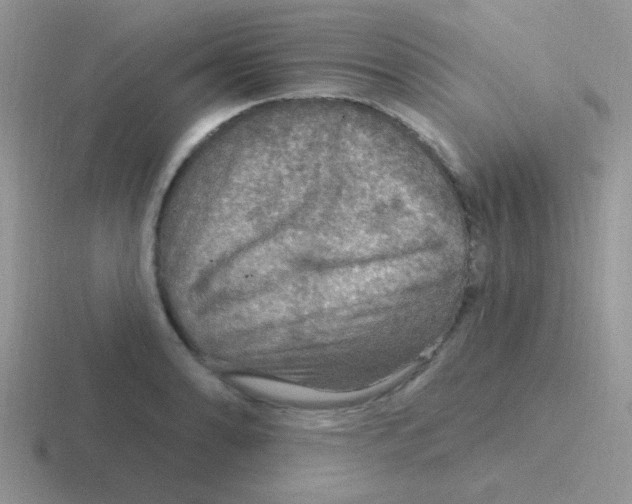 X0000116591086201001071229