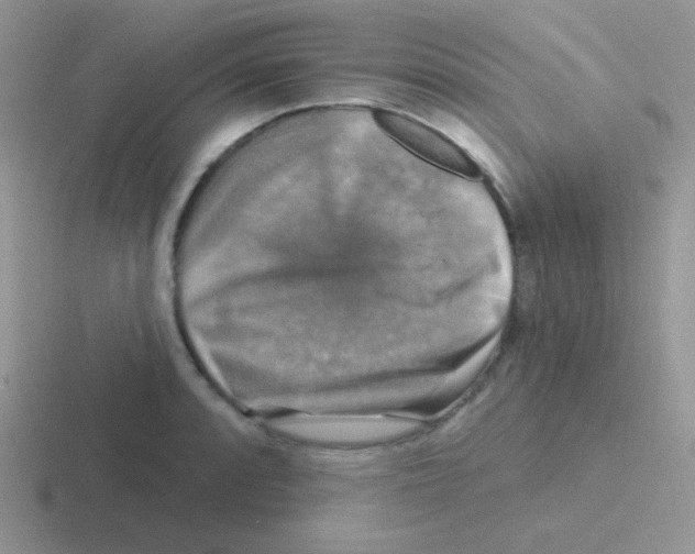 X0000116591088201001071229