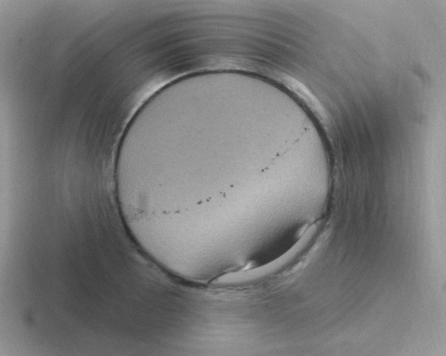 X0000116591089201001071229