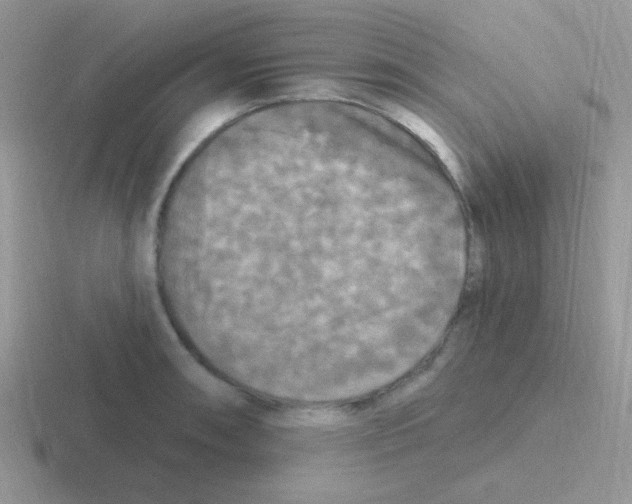 X0000116591090201001071229