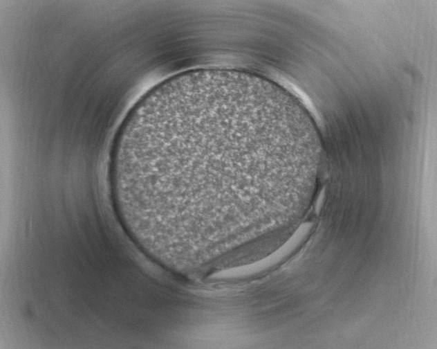 X0000116591091201001071229