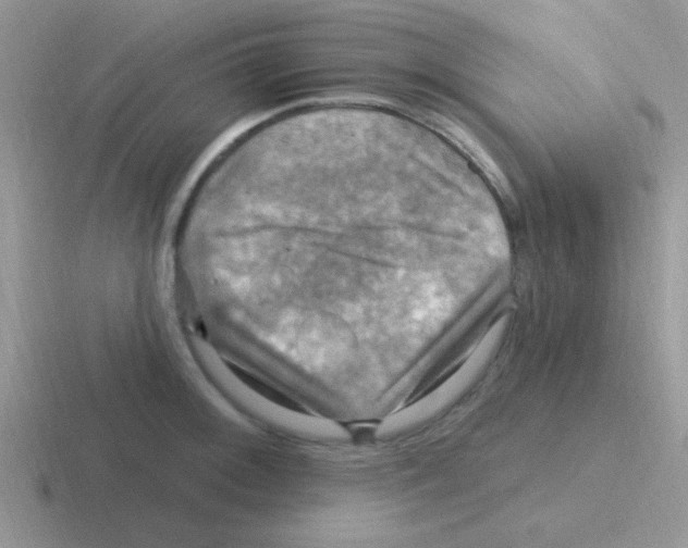 X0000116591092201001071229