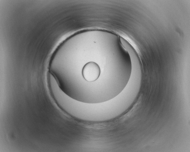 X0000116591093201001071229