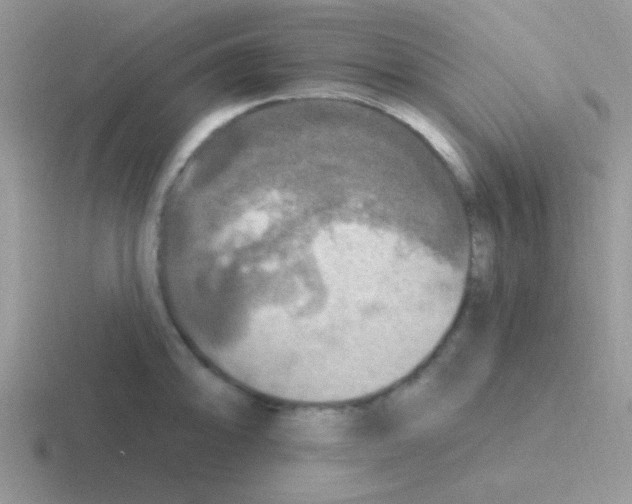 X0000116591094201001071229