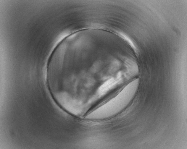 X0000116591095201001071229