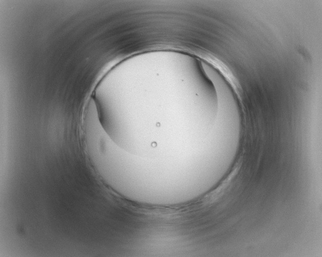 X0000116591097201001071229