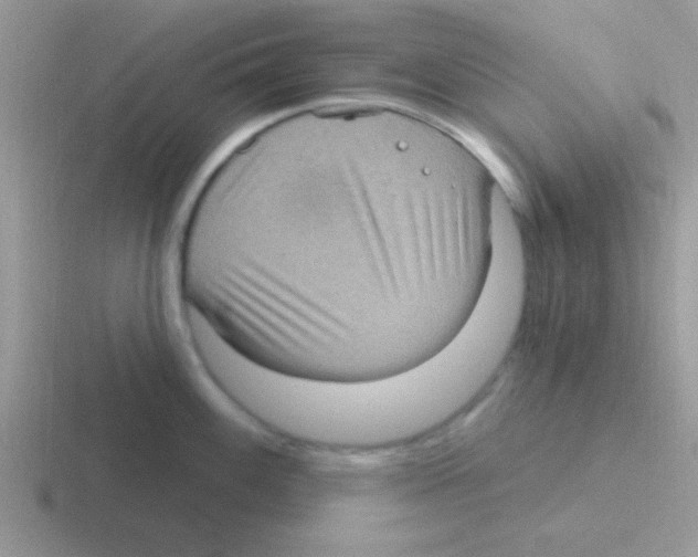 X0000116591100201001071229