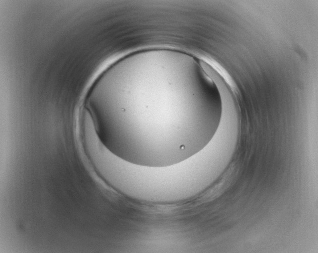 X0000116591101201001071229