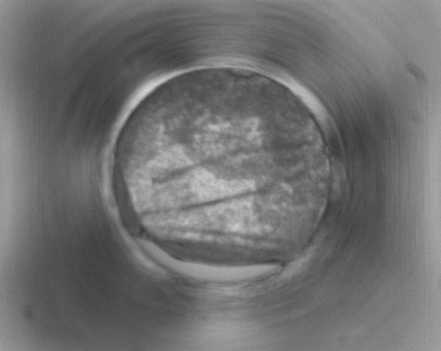 X0000116591102201001071229