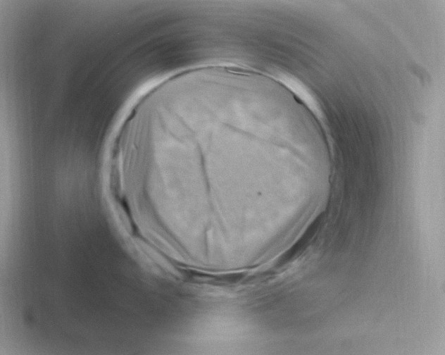 X0000116591104201001071229