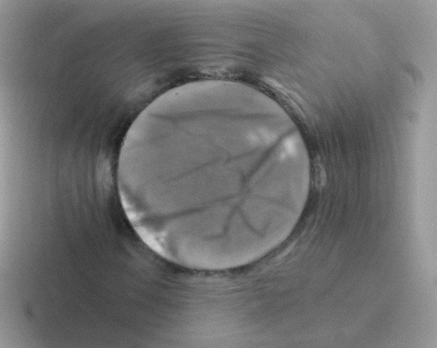 X0000116591106201001071228