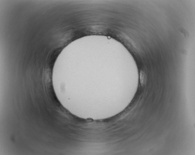 X0000116591107201001071228