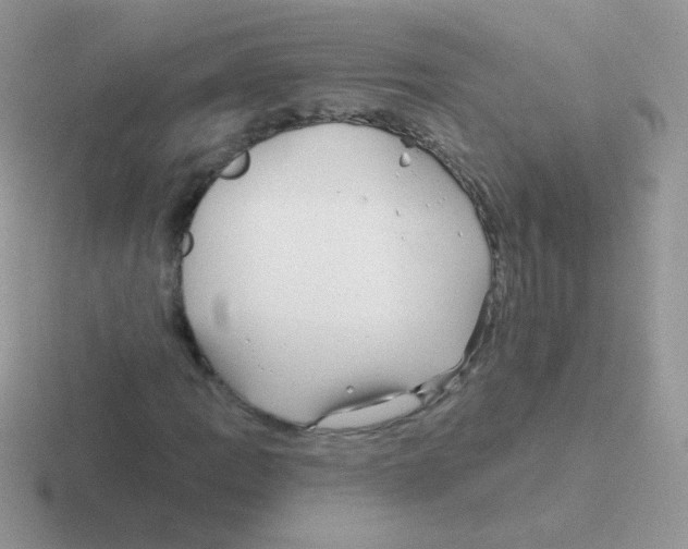 X0000116591109201001071228