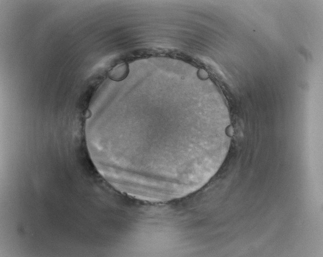 X0000116591110201001071228