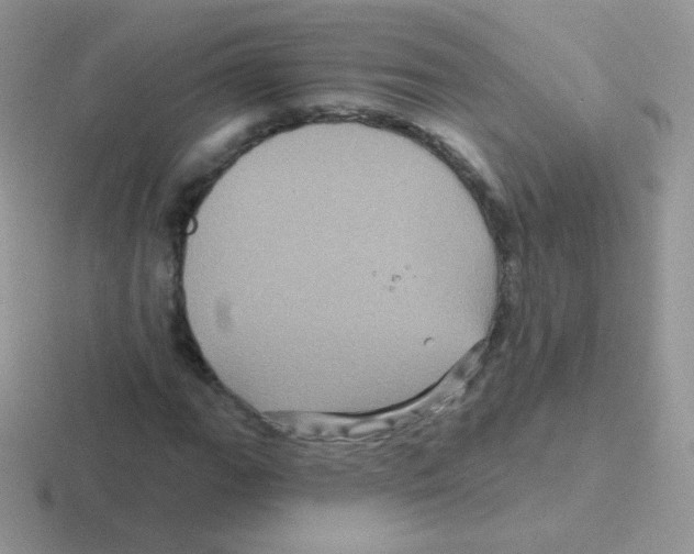 X0000116591111201001071228